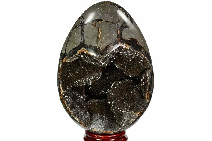 Septarian Dragon Egg Geode - Black Crystals #111228